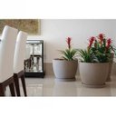 Ver imagem 2 de Prato Redondo para Vaso 46 Japi