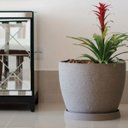 Ver imagem 2 de Prato Redondo para Vaso 57 Japi