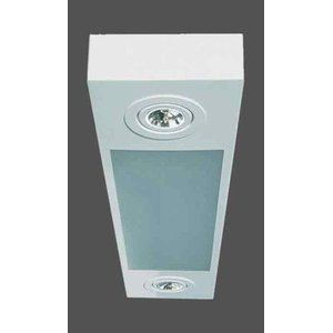 Luminária Retangular Sobrepor Branca 2 Tubulares T8 + 2 Par20 98cm