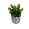 Vaso de cimento branco e preto com planta artificial - 2