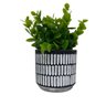 Vaso de cimento branco e preto com planta artificial - 4