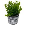 Vaso de cimento branco e preto com planta artificial - 3
