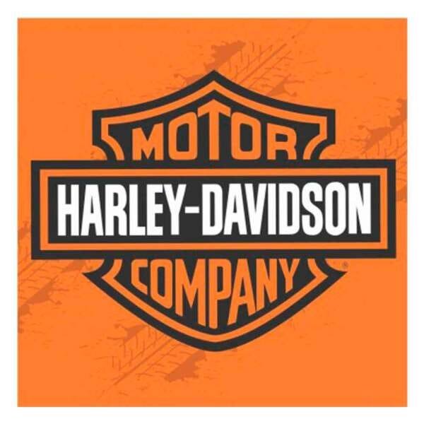 Placa MDF Harley Davidson Motor Company Coleção 2021