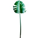 Ver imagem 2 de Folha Artificial Costela de Adão Toque Real Premium | Folha Artificial Formosinha