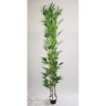 Árvore Artificial Bambu Japonês 150cm com 3 Troncos - 2