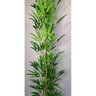 Árvore Artificial Bambu Japonês 150cm com 3 Troncos - 3