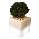 Ver imagem 1 de Cachepot Iluminado Ouvert Vase Branco Usare 110/220V