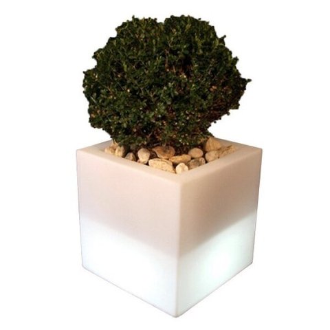 Cachepot Iluminado Ouvert Vase Branco Usare 110/220V