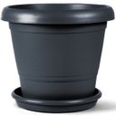 Ver imagem 1 de Vaso de Plástico Terracota N 03 C/Prato Nutriplan Cor Preto