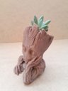 Ver imagem 1 de Vaso Suculenta - Baby Groot - Impresso em 3D