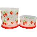 Ver imagem 3 de Tupperware Kit 2 Peças Refri Line Morangos 1,1l e 630ml