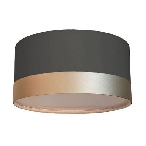 Luminária Plafon Cúpula Preto com Detalhe Bronze 30x15
