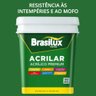 Tinta Verde Floresta Acrílico Fosco Prêmium 18l - 5