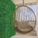 Ver imagem 6 de Pacote 10 Quadros de Folhagem Artificial Amendoim Muro Inglês Interno para Parede Verde Permanente