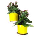 Ver imagem 2 de Jardim Vertical - Suporte de Parede Branco para 2 Vasos | Aproveite Seu Espaço! Direito