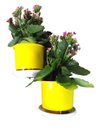 Ver imagem 2 de Jardim Vertical - Suporte de Parede Branco para 2 Vasos | Aproveite Seu Espaço! Direito