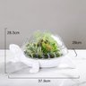 Vaso Terrário Decorativo Para Planta Artificial Tartaruga - 6