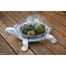 Vaso Terrário Decorativo Para Planta Artificial Tartaruga - 8
