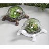 Vaso Terrário Decorativo Para Planta Artificial Tartaruga - 7