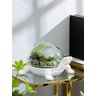Vaso Terrário Decorativo Para Planta Artificial Tartaruga - 10