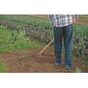 Ver imagem 2 de Enxada Larga Canavieira 2,5 S/Cabo