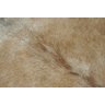 Tapete de couro de boi. Pele bovina natural. 1,50 x 1,30 m. Tons de bege. P1361 - 3