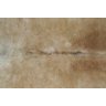 Tapete de couro de boi. Pele bovina natural. 1,50 x 1,30 m. Tons de bege. P1361 - 2