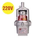 Ver imagem 1 de Bomba D'água Submersa 950 Fire Saída 1 220v Rayma
