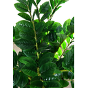 Ver imagem 2 de Suculenta da Sorte Planta Zamioculca 16 Galhos 80cm Artificial