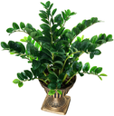 Ver imagem 1 de Suculenta da Sorte Planta Zamioculca 16 Galhos 80cm Artificial