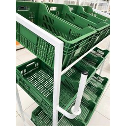 Expositor Frutas Suporte para Sacola com 12 Caixas Hortifruti - 4