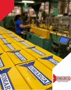 Ver imagem 3 de Parafuso Francês Zincado 5/16” X 3 1/2” com Porca – Pacote com 100 Unidades