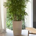 Ver imagem 4 de Kit 4 Vasos Grandes para Plantas Grego Tramontina Alto 65cm em Polietileno Granito Areia Jardim