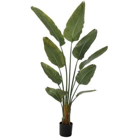 Planta Artificial Arvore Bananeira de Jardim Real Toque Uv C/pote X10 Verde 1,6m