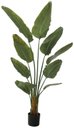 Ver imagem 1 de Planta Artificial Arvore Bananeira de Jardim Real Toque Uv C/pote X10 Verde 1,6m