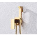 Ver imagem 2 de Ducha Higiênica Dourada Monocomando Banheiro Chuveirinho