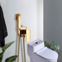 Ver imagem 1 de Ducha Higiênica Dourada Monocomando Banheiro Chuveirinho