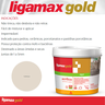 Rejunte Ultraliso Acrílico Ligamax Camurça 1kg - 2