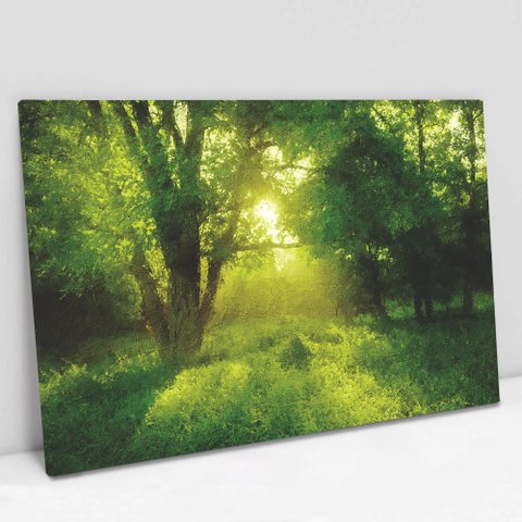 Quadro Decorativo em Canvas Natureza - Moldura Madeira - 120 x 80cm