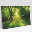 Ver imagem 1 de Quadro Decorativo em Canvas Natureza - Moldura Madeira - 120 x 80cm