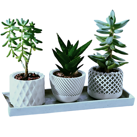 Kit Vasos Decorativos Geométricos Cachepô para Suculentas Cactos Mini e Plantas Pequenas Diversas.