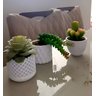 Kit Vasos Decorativos Geométricos Cachepô para Suculentas Cactos Mini e Plantas Pequenas Diversas. - 4