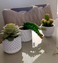 Ver imagem 4 de Kit Vasos Decorativos Geométricos Cachepô para Suculentas Cactos Mini e Plantas Pequenas Diversas.
