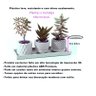 Kit Vasos Decorativos Geométricos Cachepô para Suculentas Cactos Mini e Plantas Pequenas Diversas. - 2