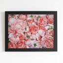 Ver imagem 1 de Quadro Rosas Flores Plantas Decorativo Moldura Preta 60x40cm
