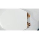 Ver imagem 3 de Assento Sanitário Poliéster Uni Oval F.suave Fixador Dourado