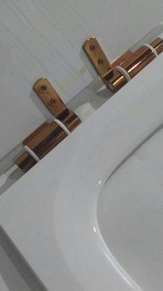 Assento Sanitário Poliéster Quadra para Deca S.Close Red Gold - 9