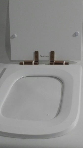Assento Sanitário Poliéster Quadra para Deca S.Close Red Gold - 6