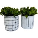 Ver imagem 1 de Conjunto vaso decorativo de cerâmica com pintura artesanal