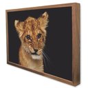 Ver imagem 4 de Quadro Decorativo Filhote em Moldura Caixa Tacolado Moldura Trad 1cm Madeira Escura com Vidro 20 X 3